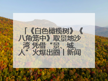 《白色橄榄树》《八角笼中》取景地沙湾 凭借“景、城、人”火爆出圈丨新闻发布最前线