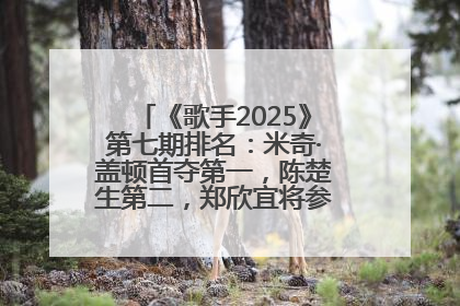 《歌手2025》第七期排名：米奇·盖顿首夺第一，陈楚生第二，郑欣宜将参加下一轮张榜赛