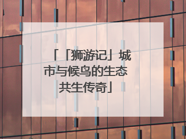 「狮游记」城市与候鸟的生态共生传奇