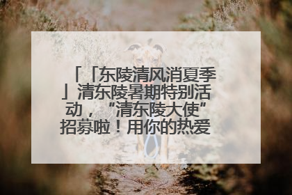 「东陵清风消夏季」清东陵暑期特别活动，“清东陵大使”招募啦！用你的热爱守护世界遗产！