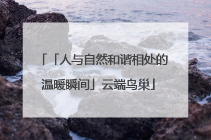 「人与自然和谐相处的温暖瞬间」云端鸟巢