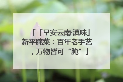 「早安云南·滇味」新平腌菜：百年老手艺，万物皆可“腌”