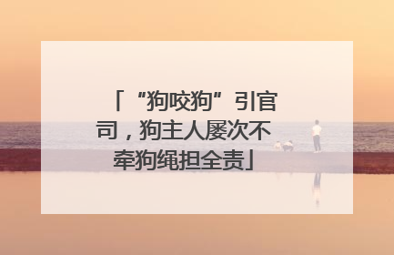 “狗咬狗”引官司，狗主人屡次不牵狗绳担全责