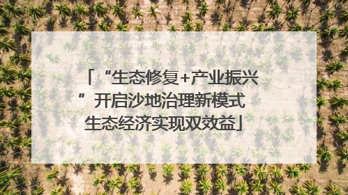 “生态修复+产业振兴”开启沙地治理新模式 生态经济实现双效益