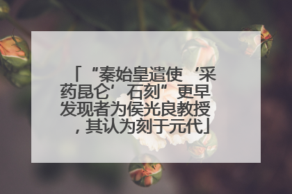 “秦始皇遣使‘采药昆仑’石刻”更早发现者为侯光良教授，其认为刻于元代