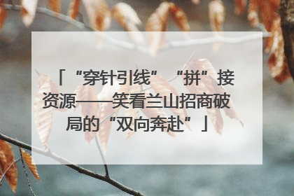 “穿针引线”“拼”接资源——笑看兰山招商破局的“双向奔赴”