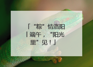 “粽”情洛阳丨端午，“阳光里”见！