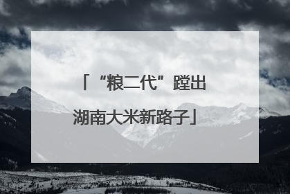 “粮二代”蹚出湖南大米新路子