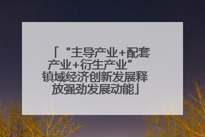 “主导产业+配套产业+衍生产业” 镇域经济创新发展释放强劲发展动能