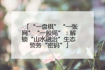 “一盘棋”“一张网”“一股绳”：解锁“山水融治”生态警务“密码”
