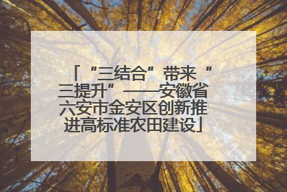 “三结合”带来“三提升”——安徽省六安市金安区创新推进高标准农田建设
