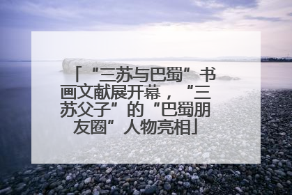 “三苏与巴蜀”书画文献展开幕，“三苏父子”的“巴蜀朋友圈”人物亮相