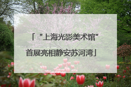 “上海光影美术馆”首展亮相静安苏河湾