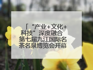 “产业+文化+科技”深度融合 第七届九江国际名茶名泉博览会开幕（组图）