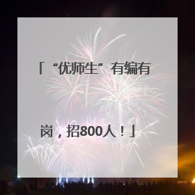 “优师生”有编有岗，招800人！