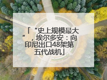 “史上规模最大”，埃尔多安：向印尼出口48架第五代战机