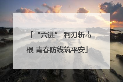 “六进” 利刃斩毒根 青春防线筑平安