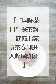 “国际茶日”探茶韵：建瓯北苑贡茶春制进入收尾阶段