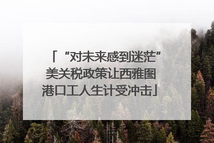 “对未来感到迷茫” 美关税政策让西雅图港口工人生计受冲击