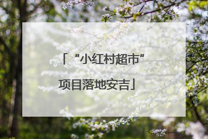 “小红村超市”项目落地安吉