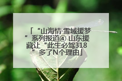 “山海情·雪域援梦”系列报道④ 山东援藏让“此生必驾318”多了N个理由