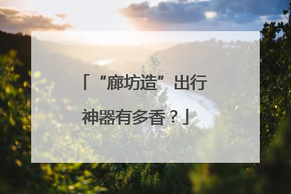 “廊坊造”出行神器有多香？