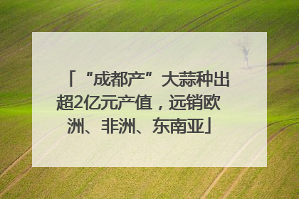 “成都产”大蒜种出超2亿元产值，远销欧洲、非洲、东南亚