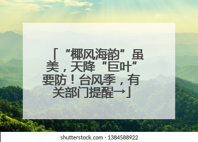 “椰风海韵”虽美，天降“巨叶”要防！台风季，有关部门提醒→