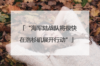 “海军陆战队将很快在洛杉矶展开行动”