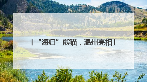 “海归”熊猫，温州亮相