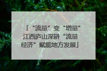 “流量”变“增量” 江西庐山深耕“流量经济”赋能地方发展