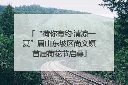 “荷你有约·清凉一夏”眉山东坡区尚义镇首届荷花节启幕