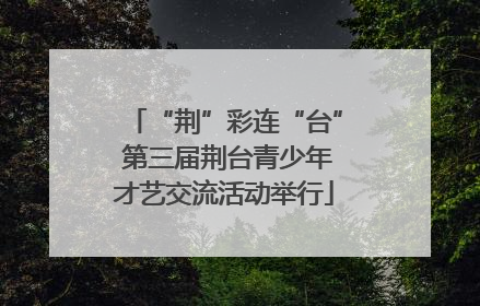 “荆”彩连“台” 第三届荆台青少年才艺交流活动举行