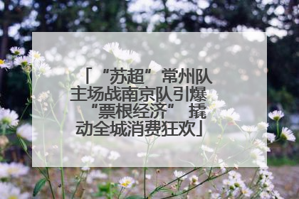 “苏超”常州队主场战南京队引爆“票根经济” 撬动全城消费狂欢