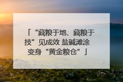 “藏粮于地、藏粮于技”见成效 盐碱滩涂变身“黄金粮仓”
