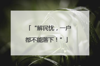 “解民忧，一户都不能落下！”