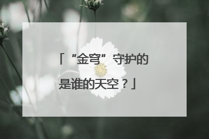“金穹”守护的是谁的天空？