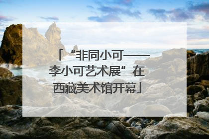 “非同小可——李小可艺术展”在西藏美术馆开幕