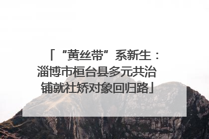 “黄丝带”系新生：淄博市桓台县多元共治铺就社矫对象回归路