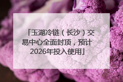 玉湖冷链（长沙）交易中心全面封顶，预计2026年投入使用