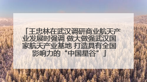 王忠林在武汉调研商业航天产业发展时强调 做大做强武汉国家航天产业基地 打造具有全国影响力的“中国星谷”