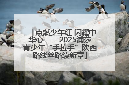 点燃少年红 闪耀中华心——2025浦莎青少年“手拉手”陕西路线丝路续新章