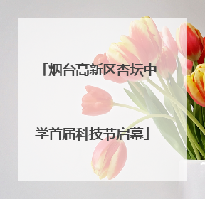烟台高新区杏坛中学首届科技节启幕