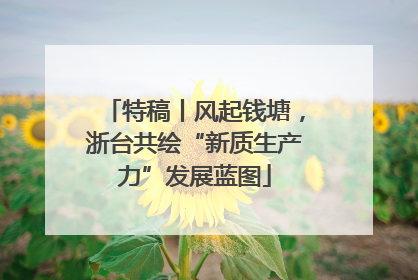 特稿丨风起钱塘，浙台共绘“新质生产力”发展蓝图