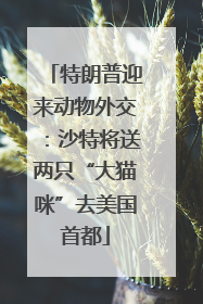 特朗普迎来动物外交：沙特将送两只“大猫咪”去美国首都