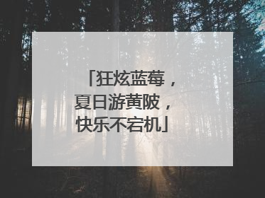 狂炫蓝莓，夏日游黄陂，快乐不宕机