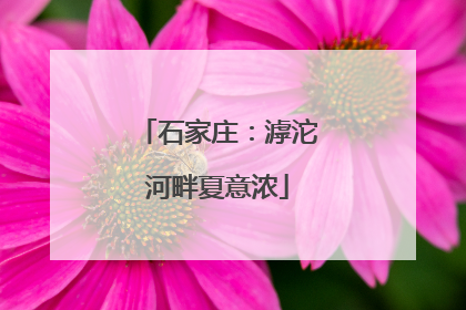 石家庄：滹沱河畔夏意浓