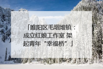 睢阳区毛堌堆镇：成立红娘工作室 架起青年“幸福桥”