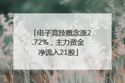 电子竞技概念涨2.72%，主力资金净流入21股