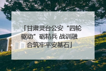 甘肃灵台公安“四轮驱动”砺精兵 战训融合筑牢平安基石